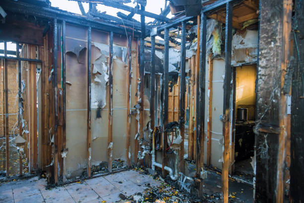 Professional Fire Damage Removal technician working in Panacea, FL